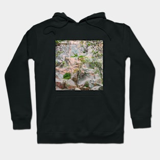 Goat Mother's Love Hoodie